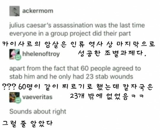 복사나라 이미지