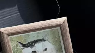 썸네일 이미지