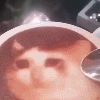 스티커 이미지