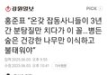 썸네일 이미지