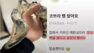 썸네일 이미지