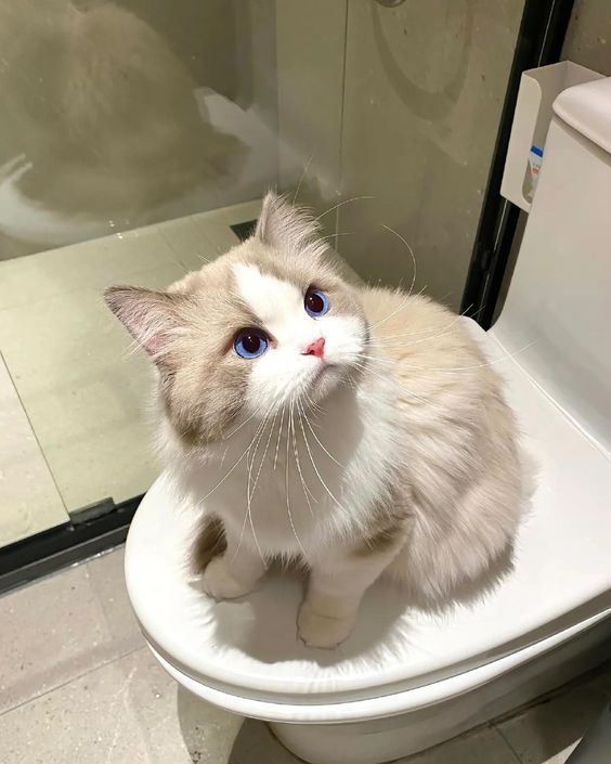 너프 이미지