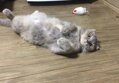 썸네일 이미지
