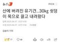 썸네일 이미지