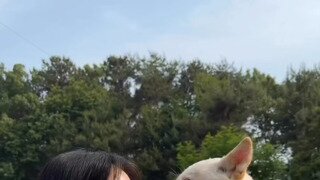 ㅇㅎ)개부럽네요