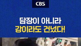 계엄일 담넘는 서미화의원..