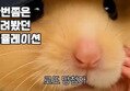 썸네일 이미지