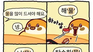 썸네일 이미지