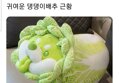 썸네일 이미지