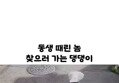 썸네일 이미지