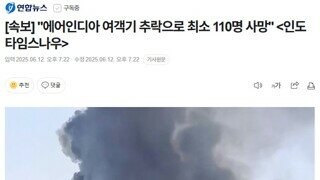에어인디아 추락 / 탑승객 명단 한국인 없어