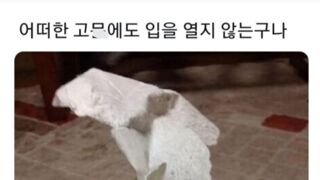 어떠한 고문에도 입을 열지 않는구나