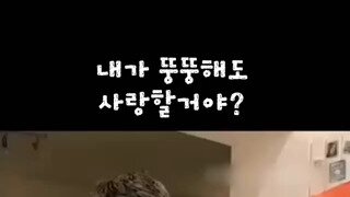 자기야, 내가 뚱뚱해져도 사랑해줄거야?