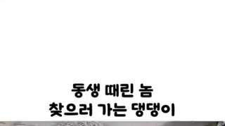 동생 때린 놈 찾으러 가는 멍뭉이.mp4...