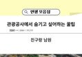 썸네일 이미지