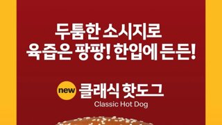 후기 별로라는 맥도날드 3500원 핫도그