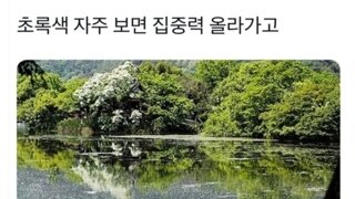 초록색을 자주보면 집중력이 올라가고 스트레스가 줄어듭니다