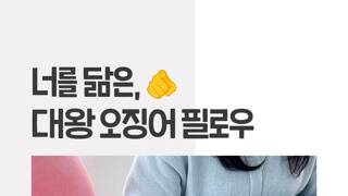 오이갤 콜라보 인가