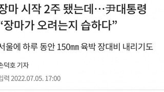 내란수괴 장마대책