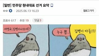 민주당 원내대표 선거 요약