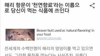 동물의 똥구멍에서 추출한 향