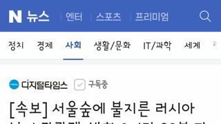 서울숲에 불지른 러시아 남녀 관광객, 방화 1시간 30분 만에 긴급체포