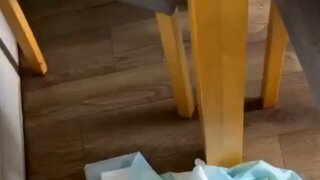 일단 정지!