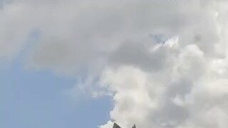 눈앞에 개쩌는 난투극이 벌어지는데 유턴 해야할까?
