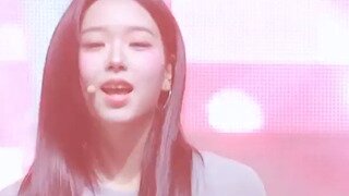 트리플에스 김채연 신한대 축제
