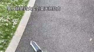 무림의 나라 근황