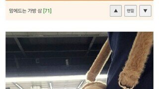 대가리는 장식이야?