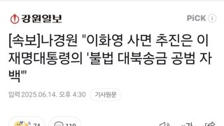 [속보]나경원 