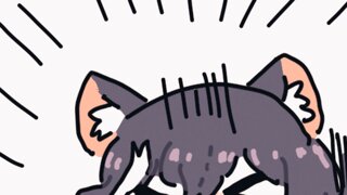 출첵 해슴?