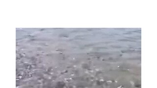 살려주면 욕먹음