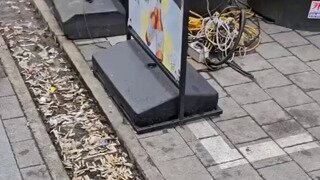 구로 디지털 단지 배수로.gif