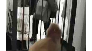 궁뎅이 흔들며 주인 반기는 강아지