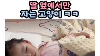딸 옆에서만 자는 고양이