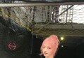 썸네일 이미지
