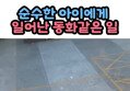 썸네일 이미지