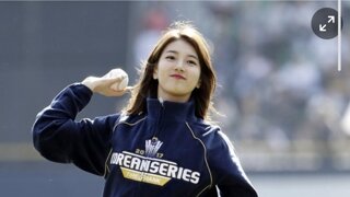 수지 시구