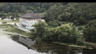 개발을 위해 두꺼비를 몰살 시키자