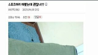 스포츠머리 한 디시인