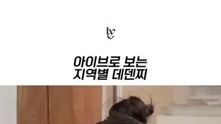 아이브로 보는 지역별 데덴찌