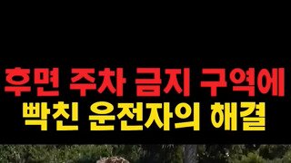 후면 주차금지에 빡친 운전자는 결국...