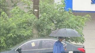 강아지 비 안 맞게 만들어준 우비