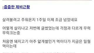 버려진 제비 구조 후기