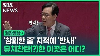 반사