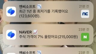이야 오늘 택찌니횽에게 뭔가 호재가 있나요?
