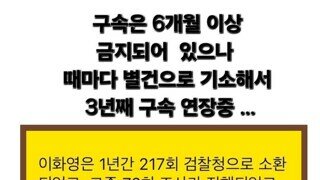 이화영은 몇년동안 구속해놓더니