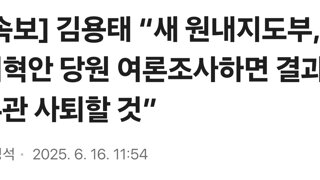 [속보] 김용태 “새 원내지도부, 개혁안 당원 여론조사하면 결과 무관 사퇴할 것”